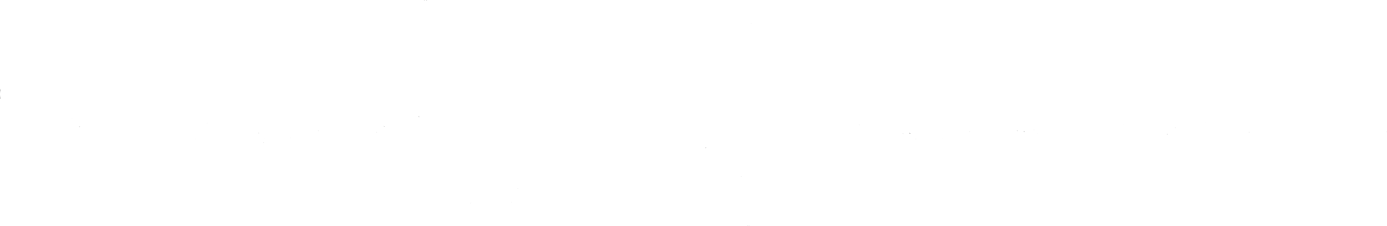 Roberto Photography Logo